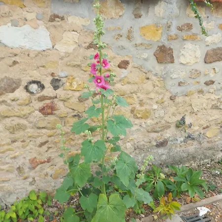Apartmán A L'etage D'une Maison Avec Entree Commune Comprenant Avec Un Grand Lit , D'enfant Et Un Clic-clac Dans La Piece De Vie