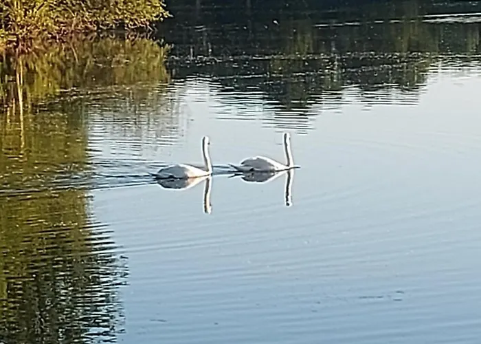 A L'etage D'une Maison Avec Entree Commune Comprenant Avec Un Grand Lit , D'enfant Et Un Clic-clac Dans La Piece De Vie * Bazouges-sur-le-Loir