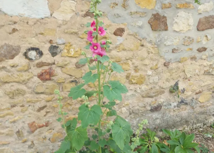 Appartement A L'etage D'une Maison Avec Entree Commune Comprenant Avec Un Grand Lit , D'enfant Et Un Clic-clac Dans La Piece De Vie